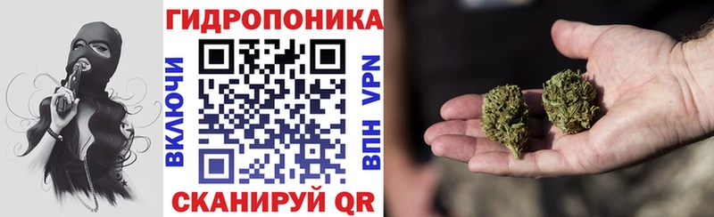 Где можно купить наркотики Дно Гашиш АМФ Псилоцибиновые грибы Codein Меф мяу мяу Кокаин MEGA онион МЕТАМФЕТАМИН