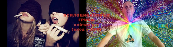 прущий лед Белокуриха