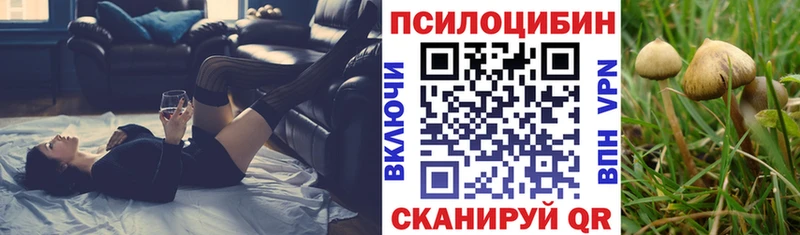 Псилоцибиновые грибы прущие грибы  наркотики  Дно 